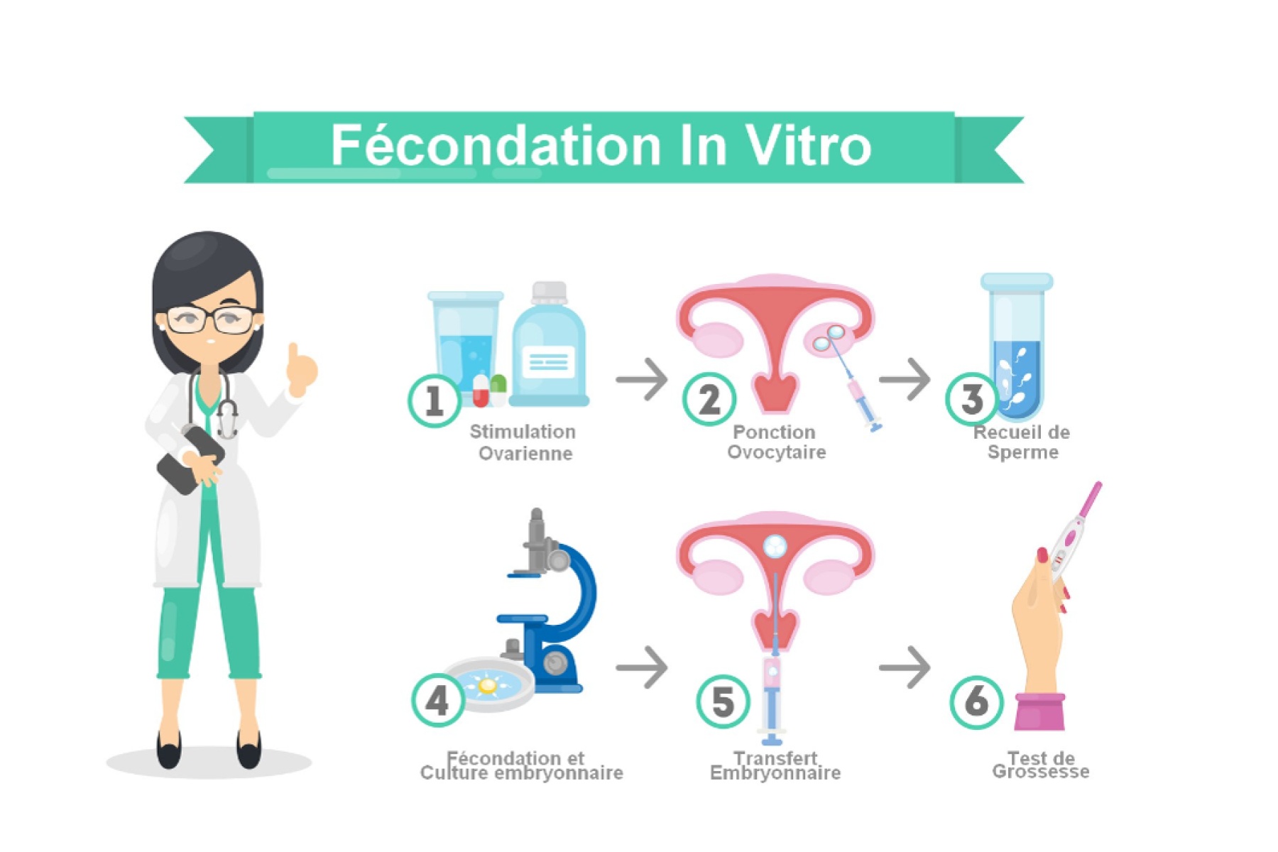 Les accidents de parcours en Fécondation in Vitro (FIV) 