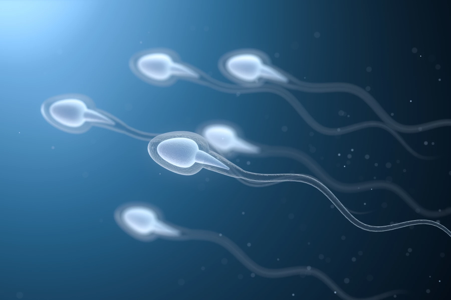 Le Spermogramme : C'est Quoi ? | WiStim Application Fertilité