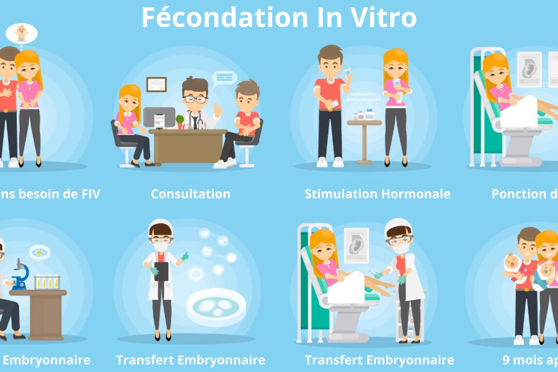 FIV: Étapes de la Fécondation In Vitro | Wistim Suivi PMA