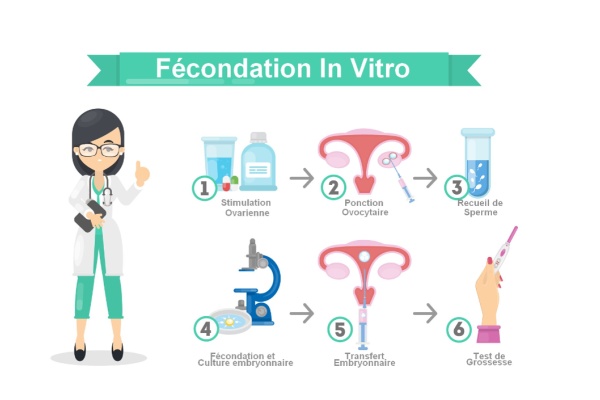 Les accidents de parcours en Fécondation in Vitro (FIV) 