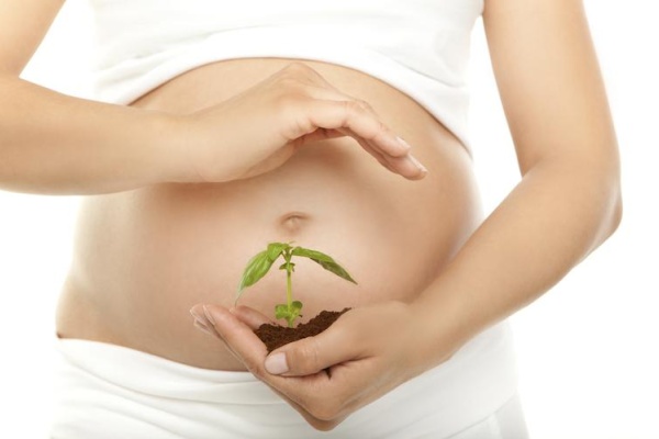 How to spot and manage early pregnancy?