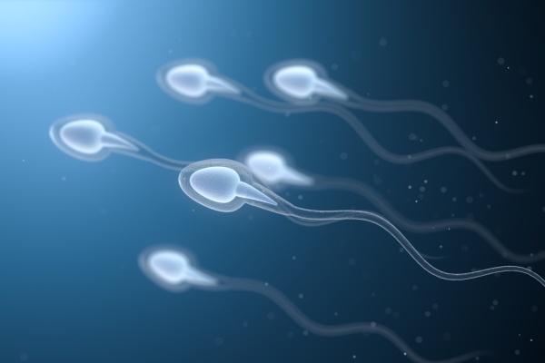 Le spermogramme : c’est quoi ? 