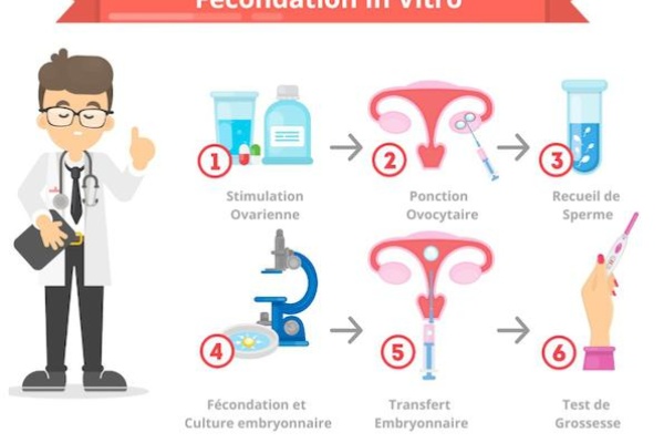 What is IVF?