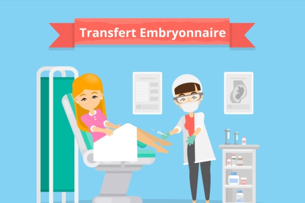 Transfert embryonnaire: Etapes